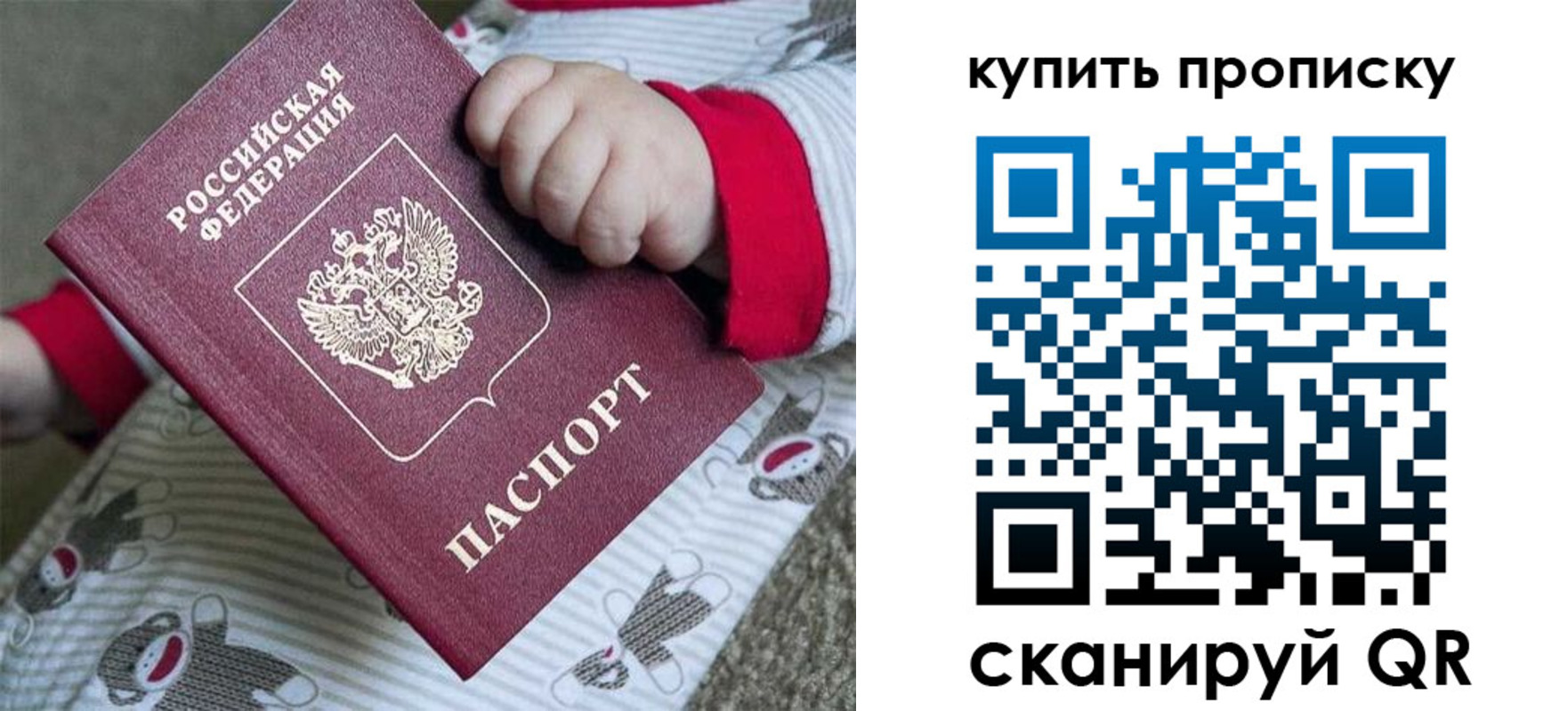где прописаться в Димитровграде